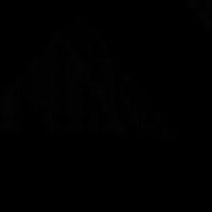 Meet your Posher, Desiree